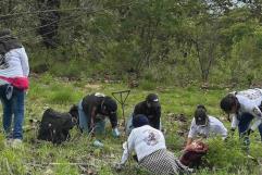 Desapariciones en Jalisco: Descubren crematorio clandestino