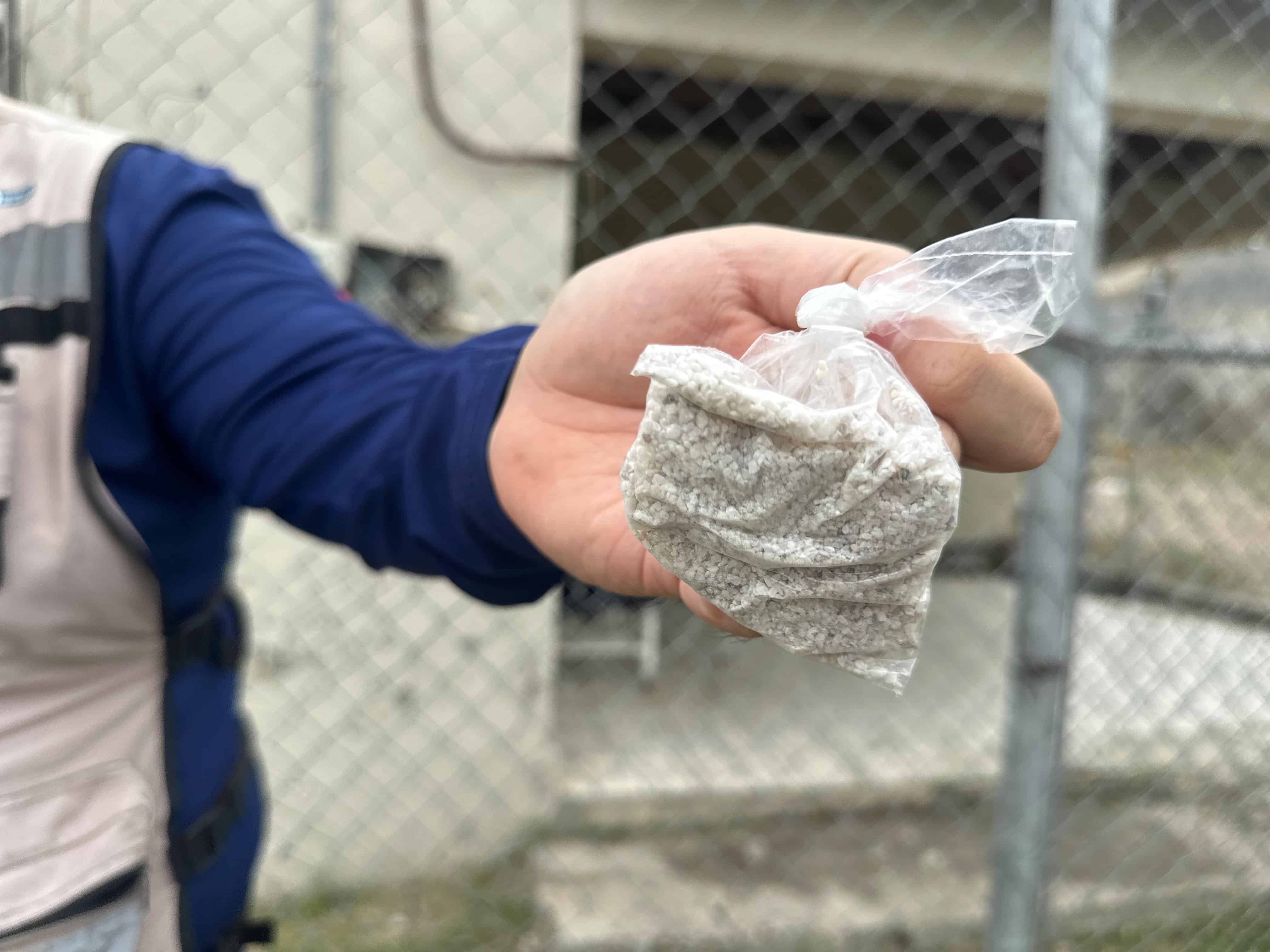 Alertan un posible repunte de dengue en Piedras Negras por lluvias recientes