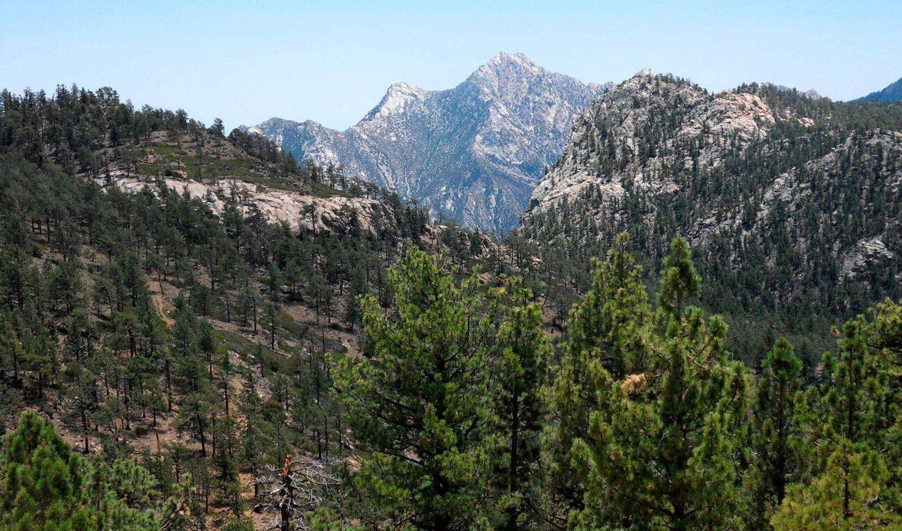 Coahuila proyecta recibir más de un millón de turistas en verano 2025