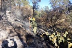 Brigadistas en alerta por incendios en Arteaga