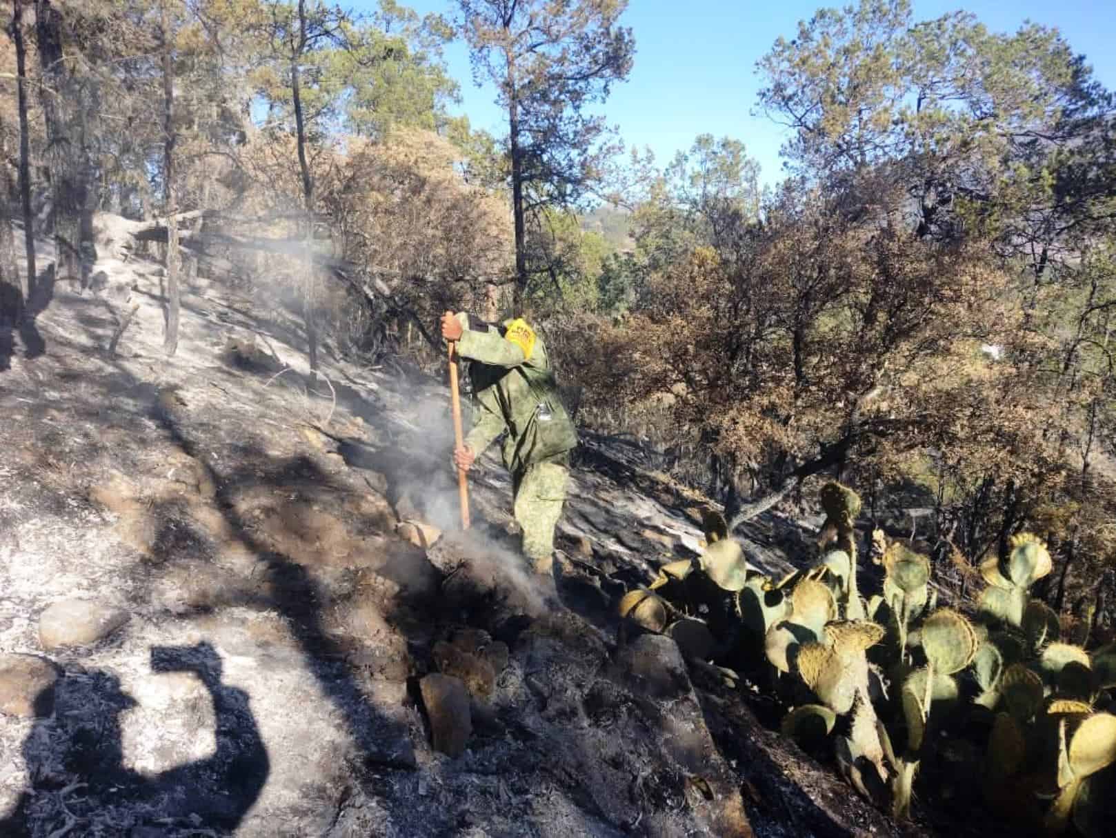 Brigadistas en alerta por incendios en Arteaga