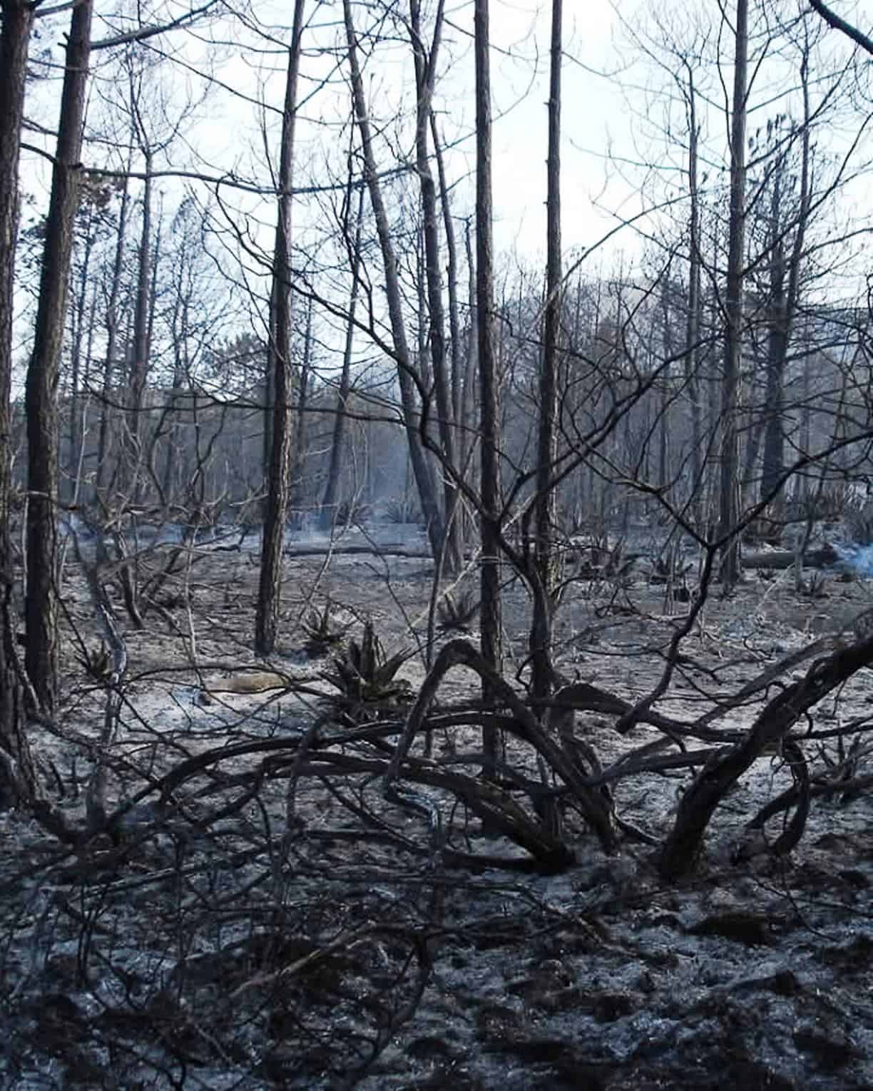Brigadistas en alerta por incendios en Arteaga