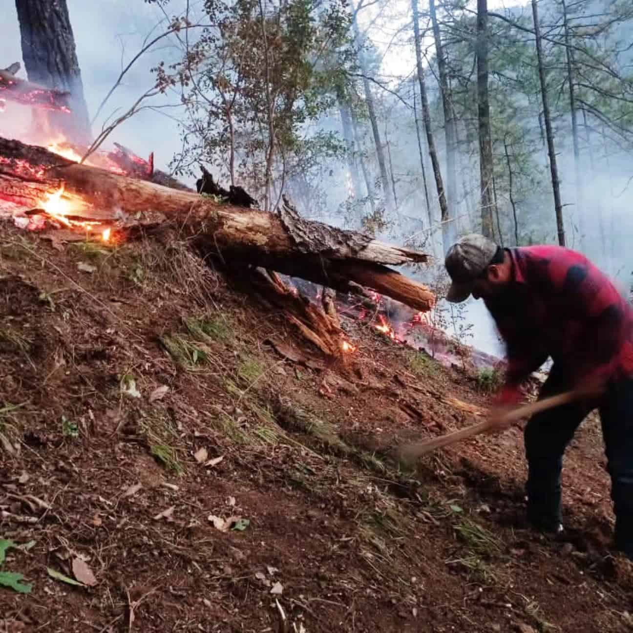 Brigadistas en alerta por incendios en Arteaga