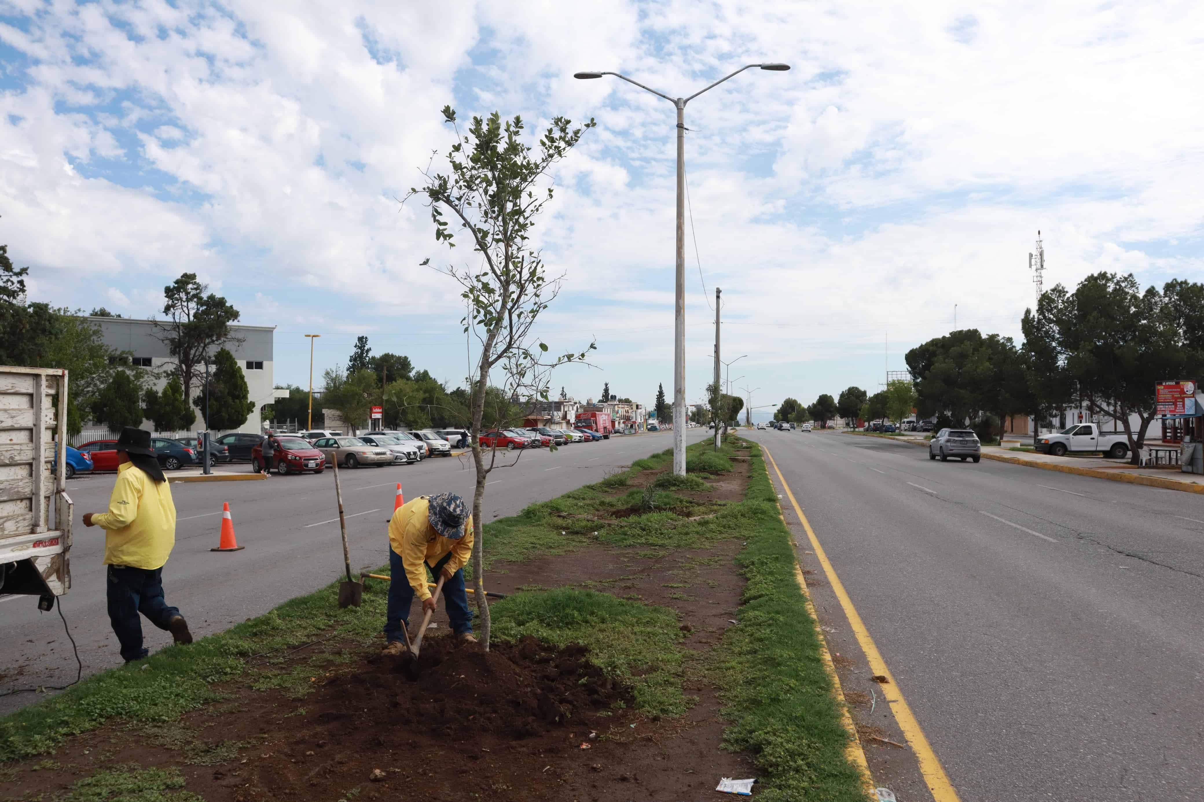 Programa Aquí Andamos embellece plazas públicas en Saltillo