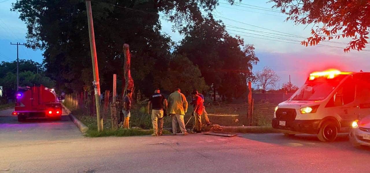 Heroína Salva a Perrita Atropellada en Nava