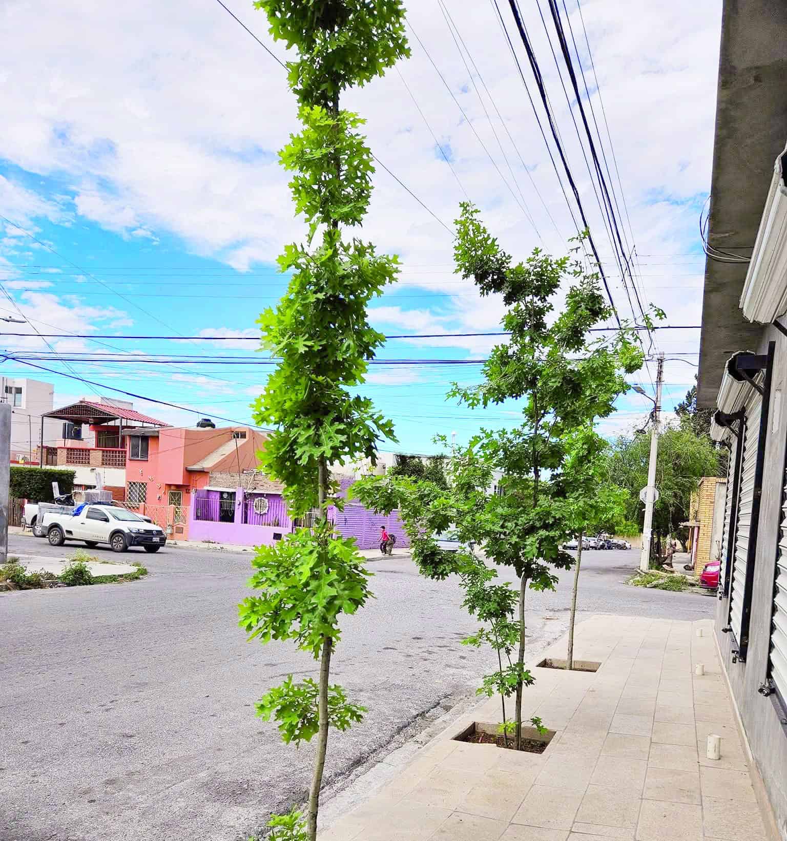 Apagón en Saltillo deja sin agua a miles de habitantes