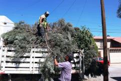 Rehabilitación de calle Mariano Abasolo y bacheo en periférico de Saltillo