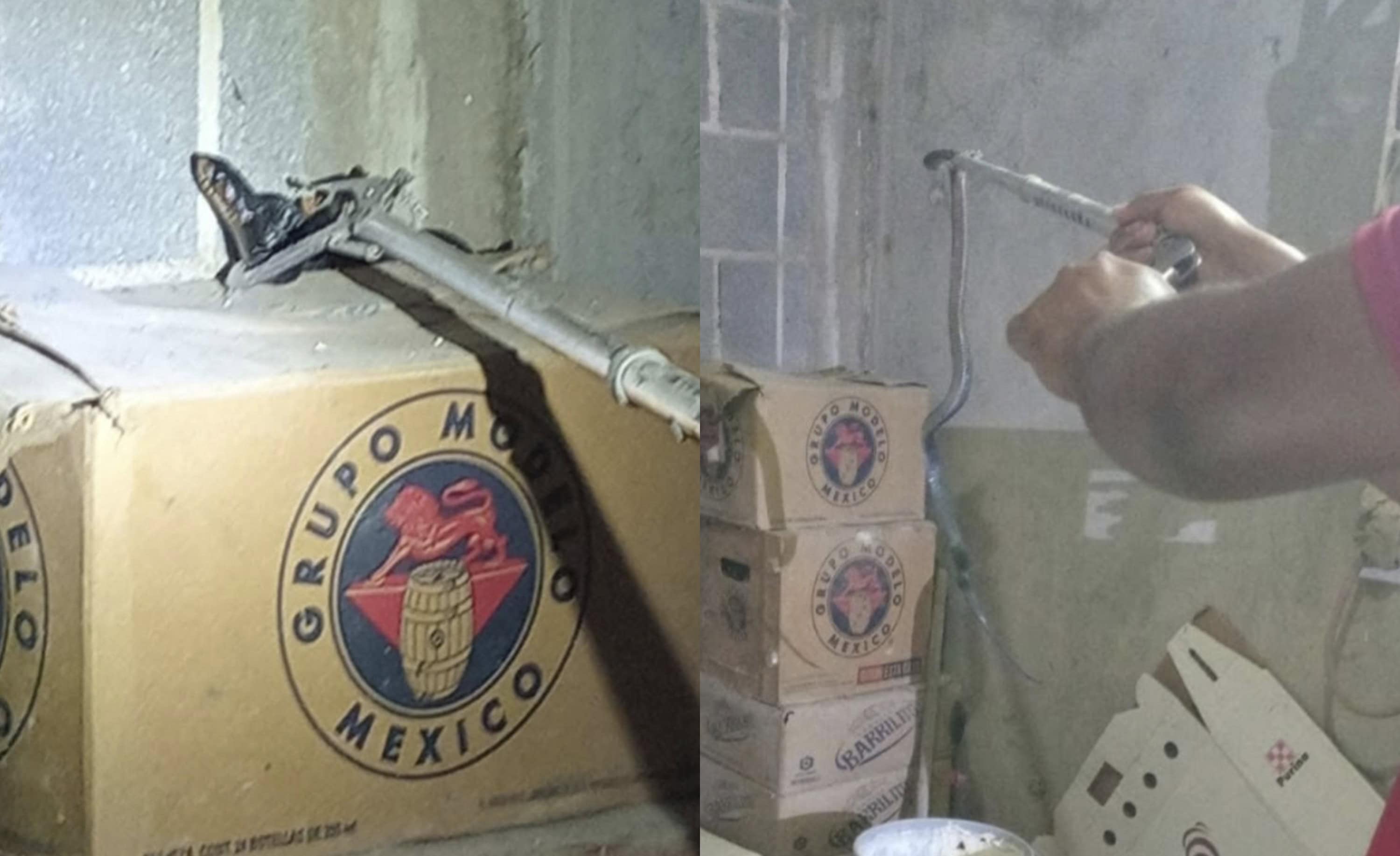 Capturan víbora negra en vivienda del centro de Allende