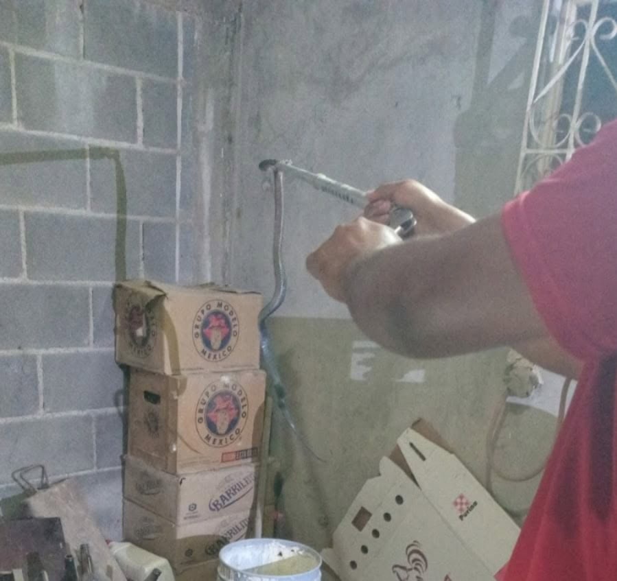 Capturan víbora negra en vivienda del centro de Allende