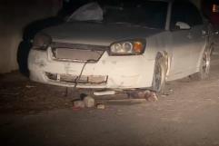 Aparece tlacuache  en la Fundadores