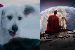 Aumento en adopción de perros tras película de Superman y Krypto
