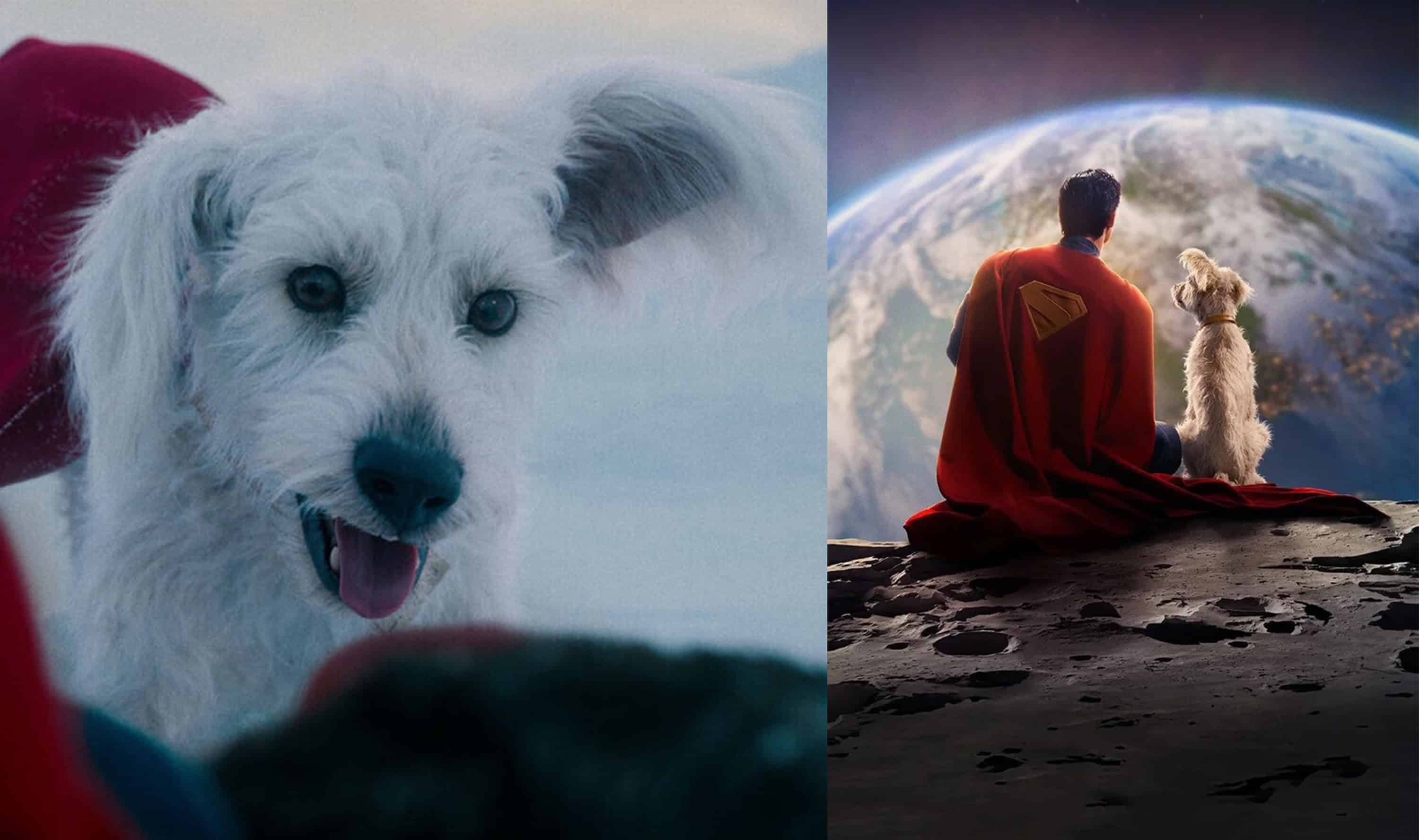 Aumento en adopción de perros tras película de Superman y Krypto