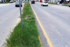 Comunidad de Arteaga en peligro por maleza en camellones