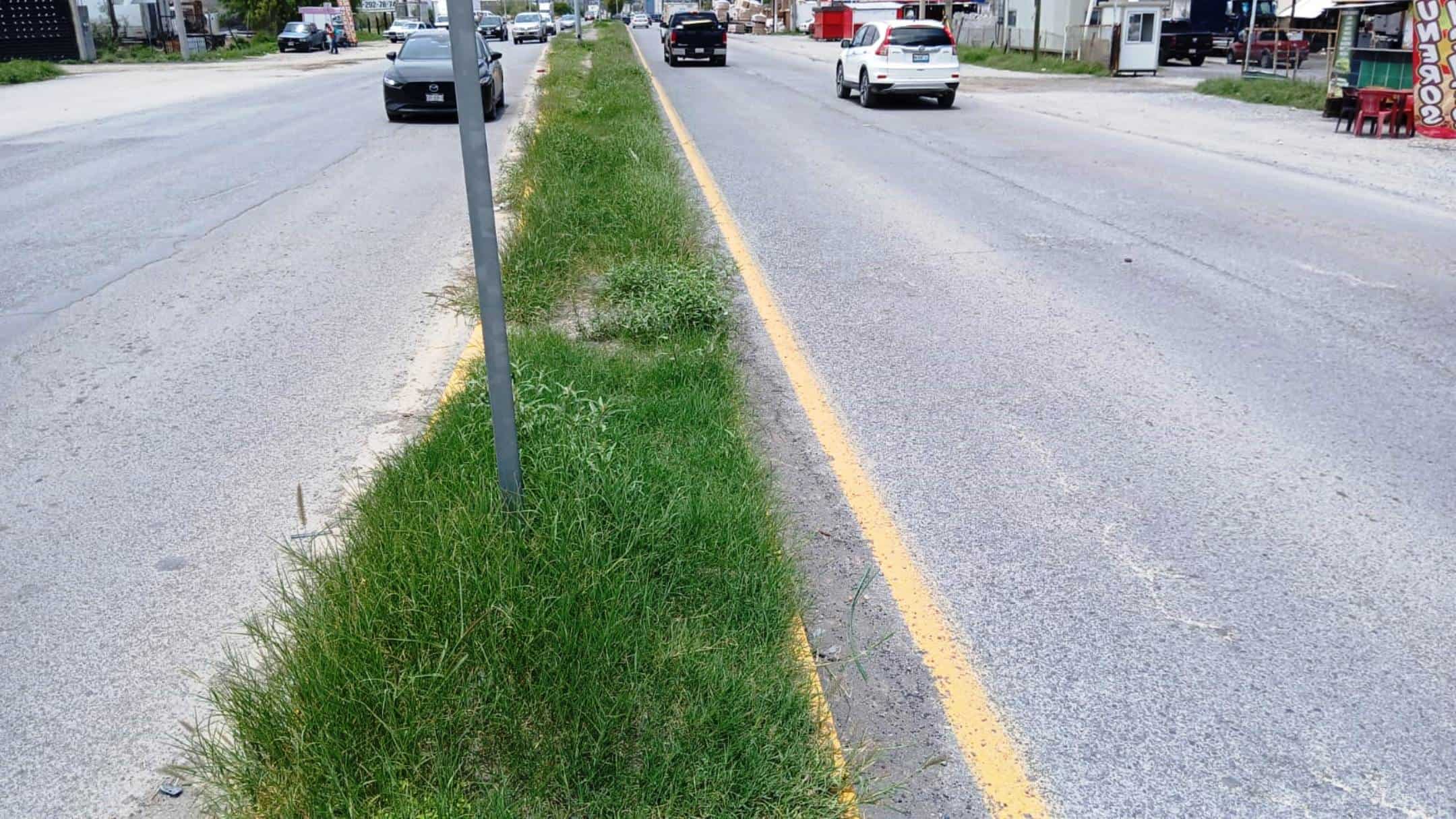 Comunidad de Arteaga en peligro por maleza en camellones
