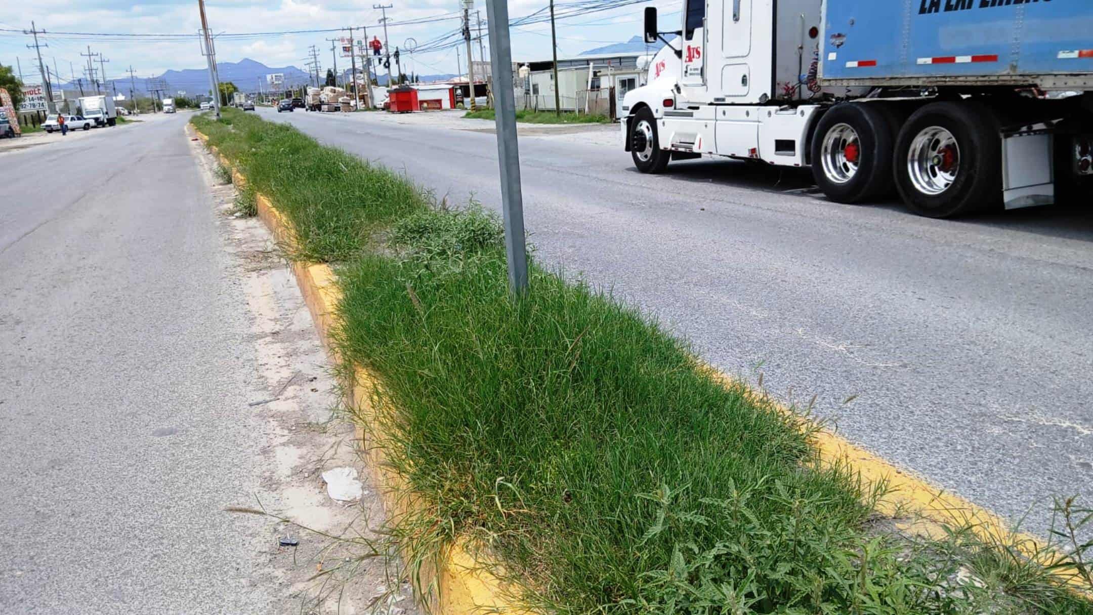 Comunidad de Arteaga en peligro por maleza en camellones