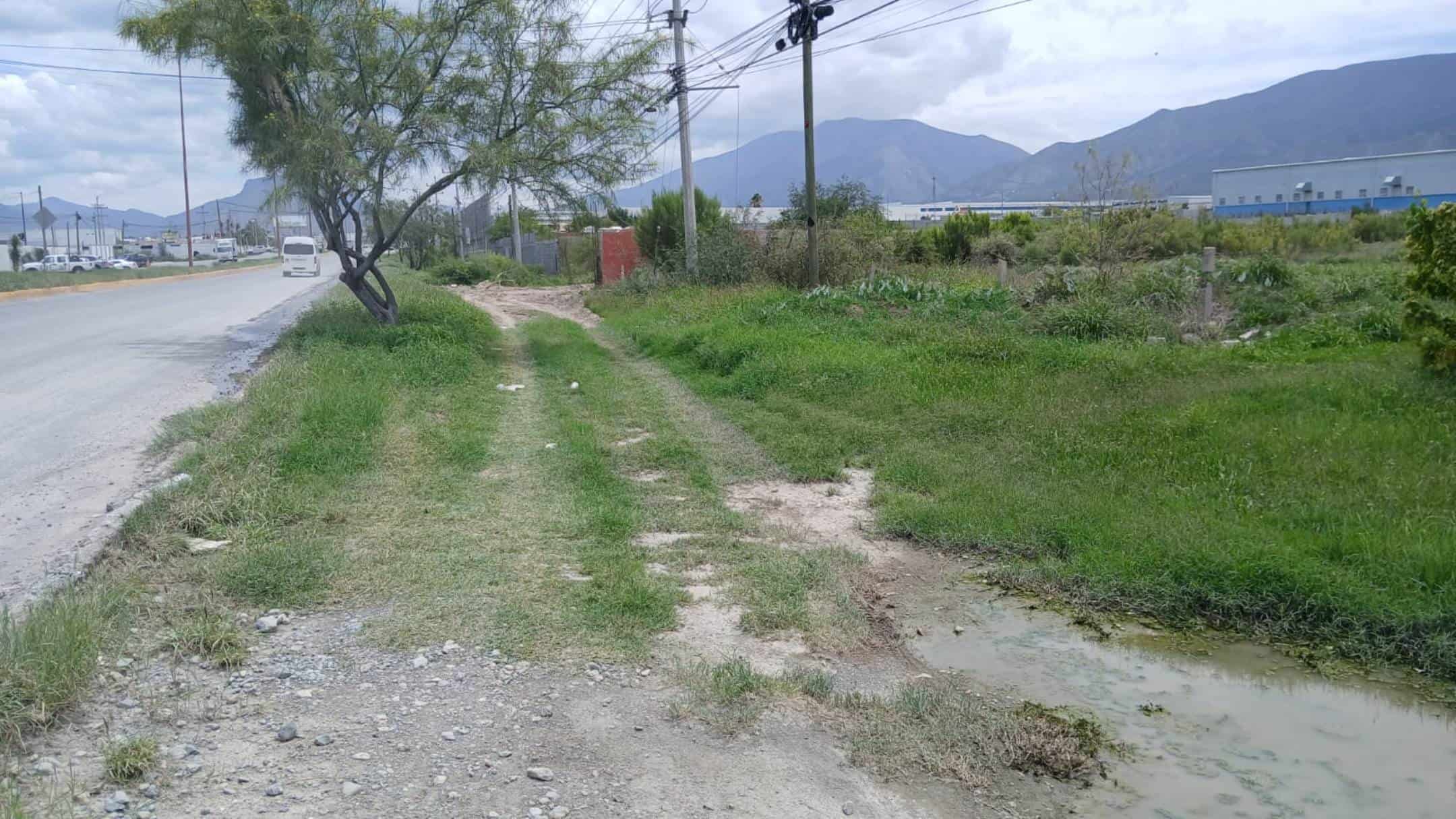 Comunidad de Arteaga en peligro por maleza en camellones