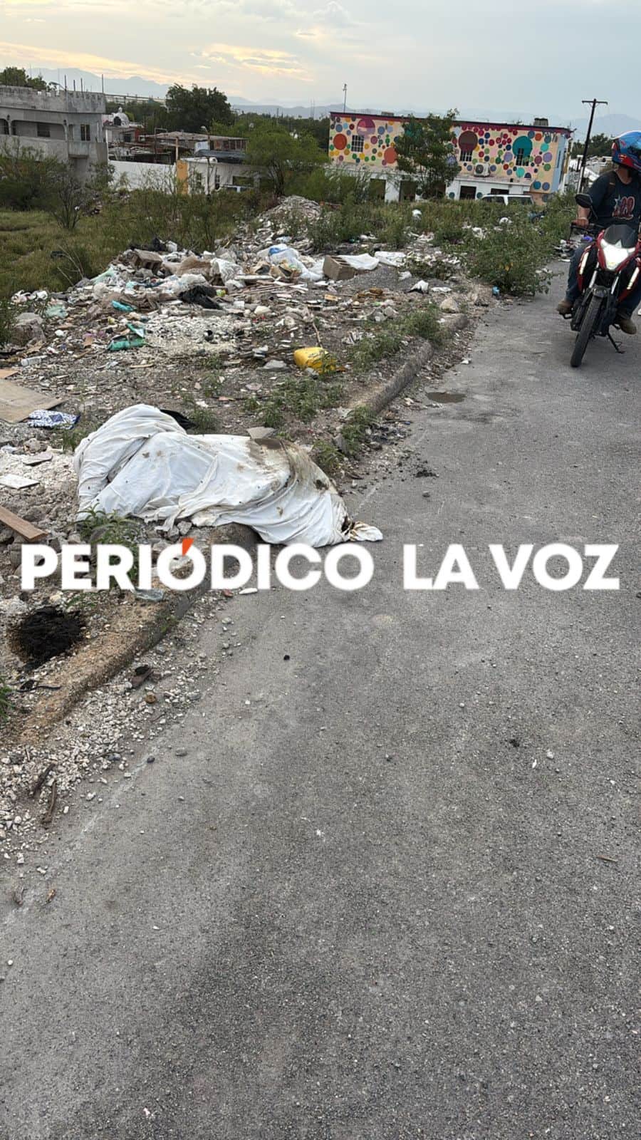 Alarma en la Bellavista 