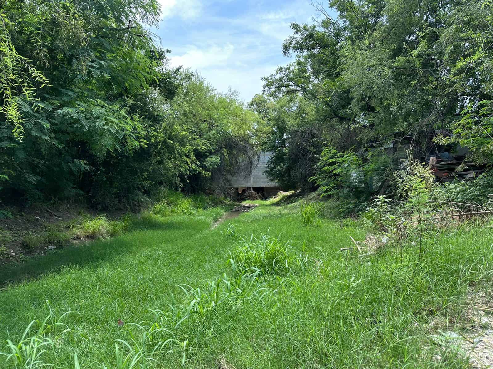 La voz en tu colonia: Viven en la Chapultepec bajo el agua y el abandono