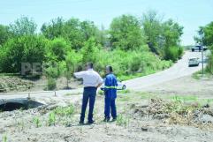 Trabajador del Ayuntamiento gravemente lesionado por picaduras de abejas