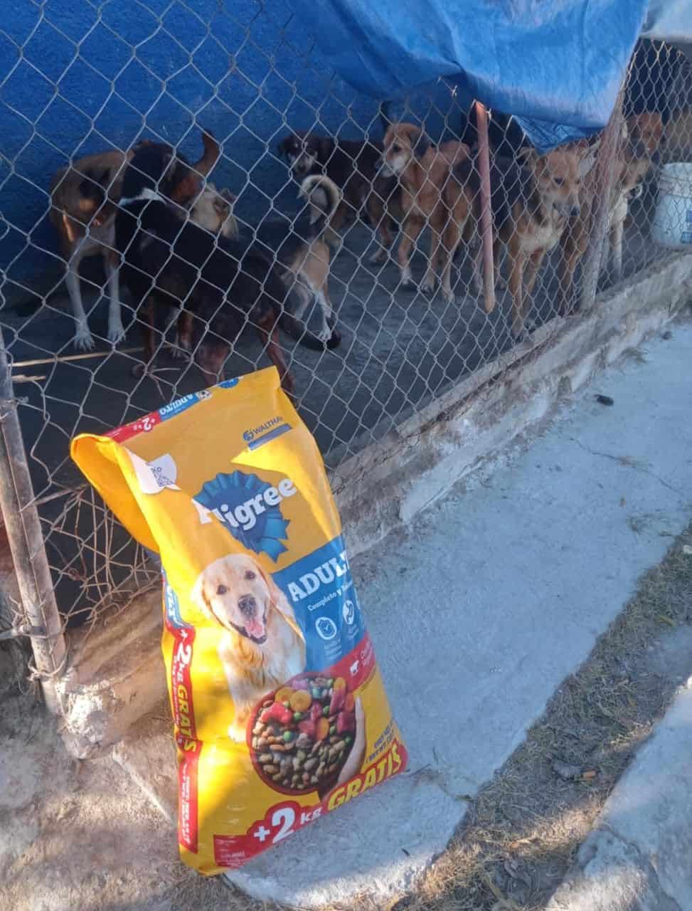 Adopción consciente en Albergue Canino Patitas de Paz