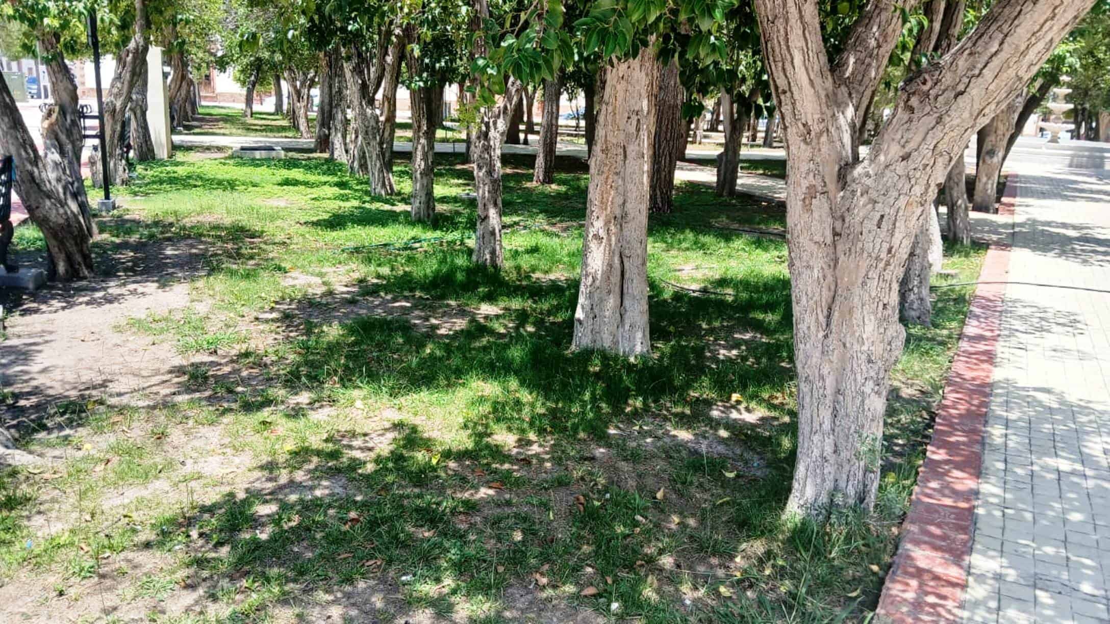 Vecinos molestos por falta de mantenimiento en Plaza de Armas de Arteaga