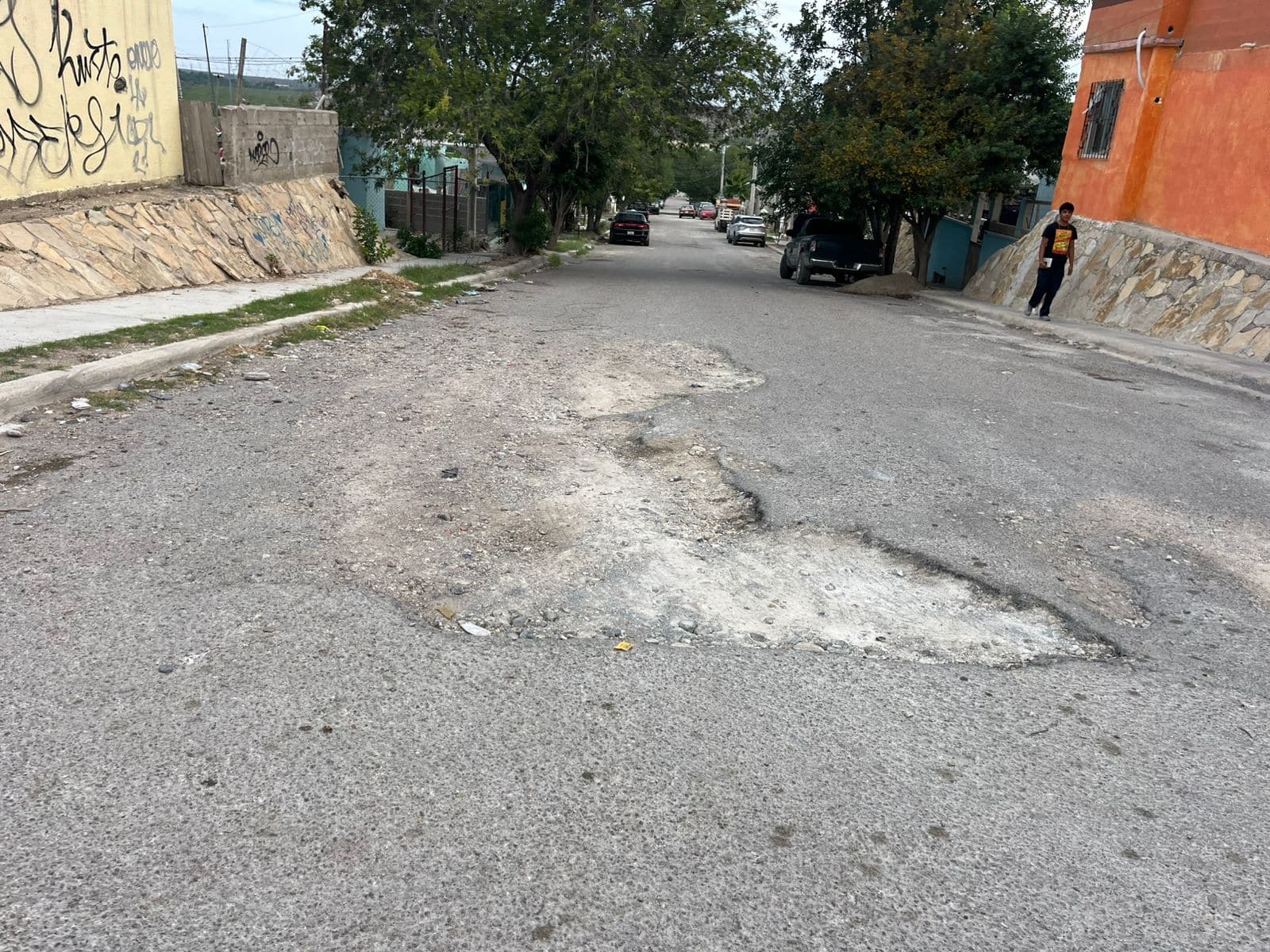 Vecinos de la colonia Cedros exigen atención: 18 años de abandono en la calle Tilo