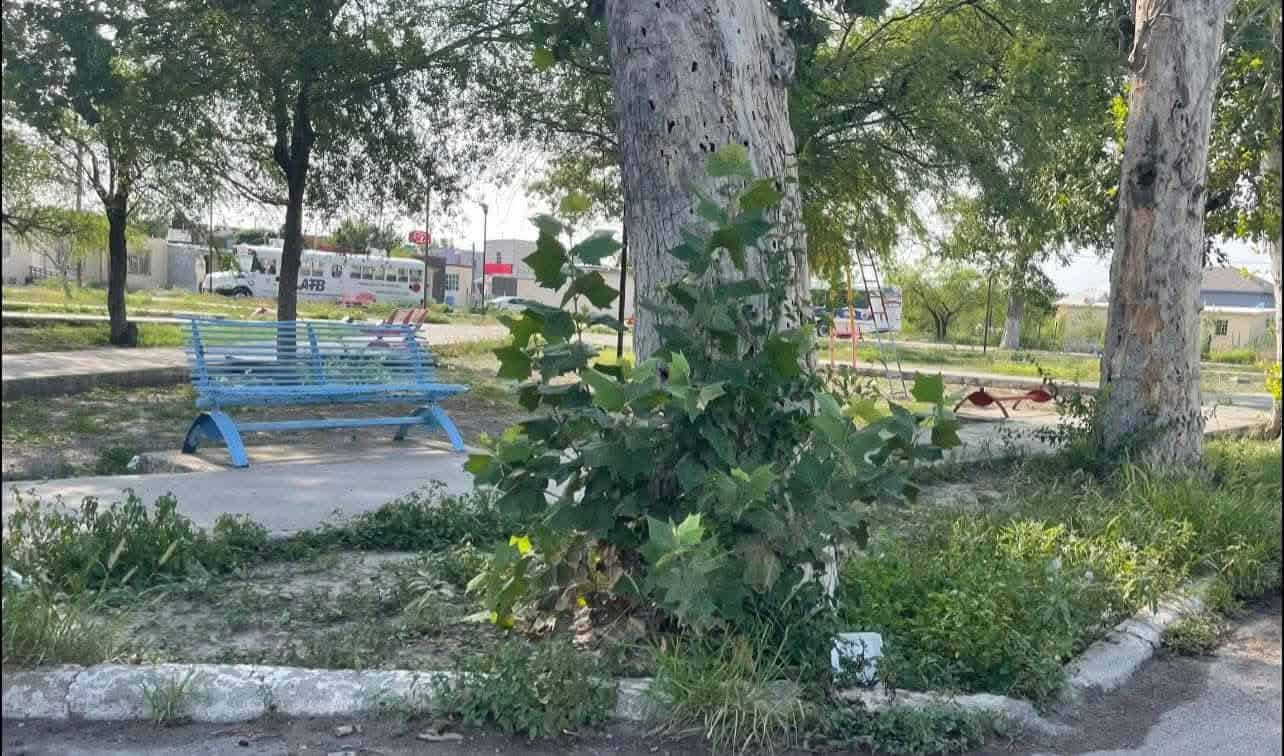 Vecinos denuncian abandono total de plaza en colonia Manantiales