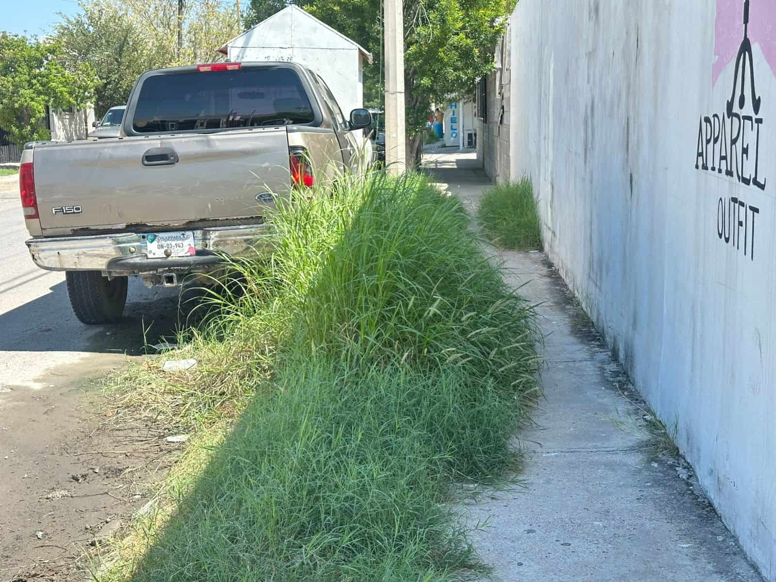 La voz en tu colonia: Vive Villa Real entre basura, baches e inseguridad