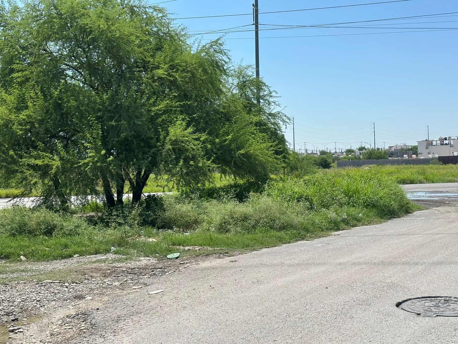 La voz en tu colonia: Vive Villa Real entre basura, baches e inseguridad