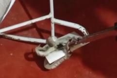 Capturan víbora falso coralillo dentro de vivienda en Allende