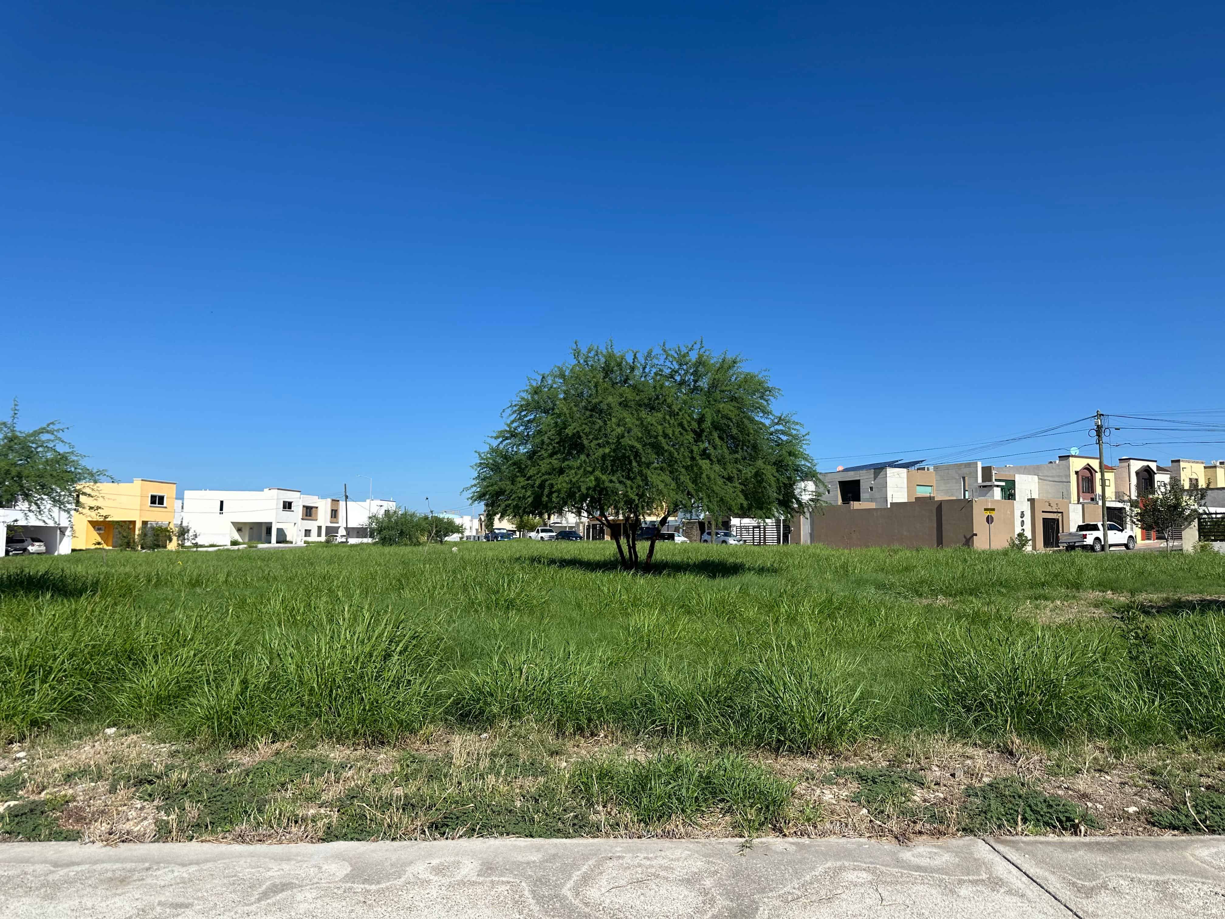 La voz en tu colonia: Vecinos de San Felipe Ampliación reclaman abandono del municipio