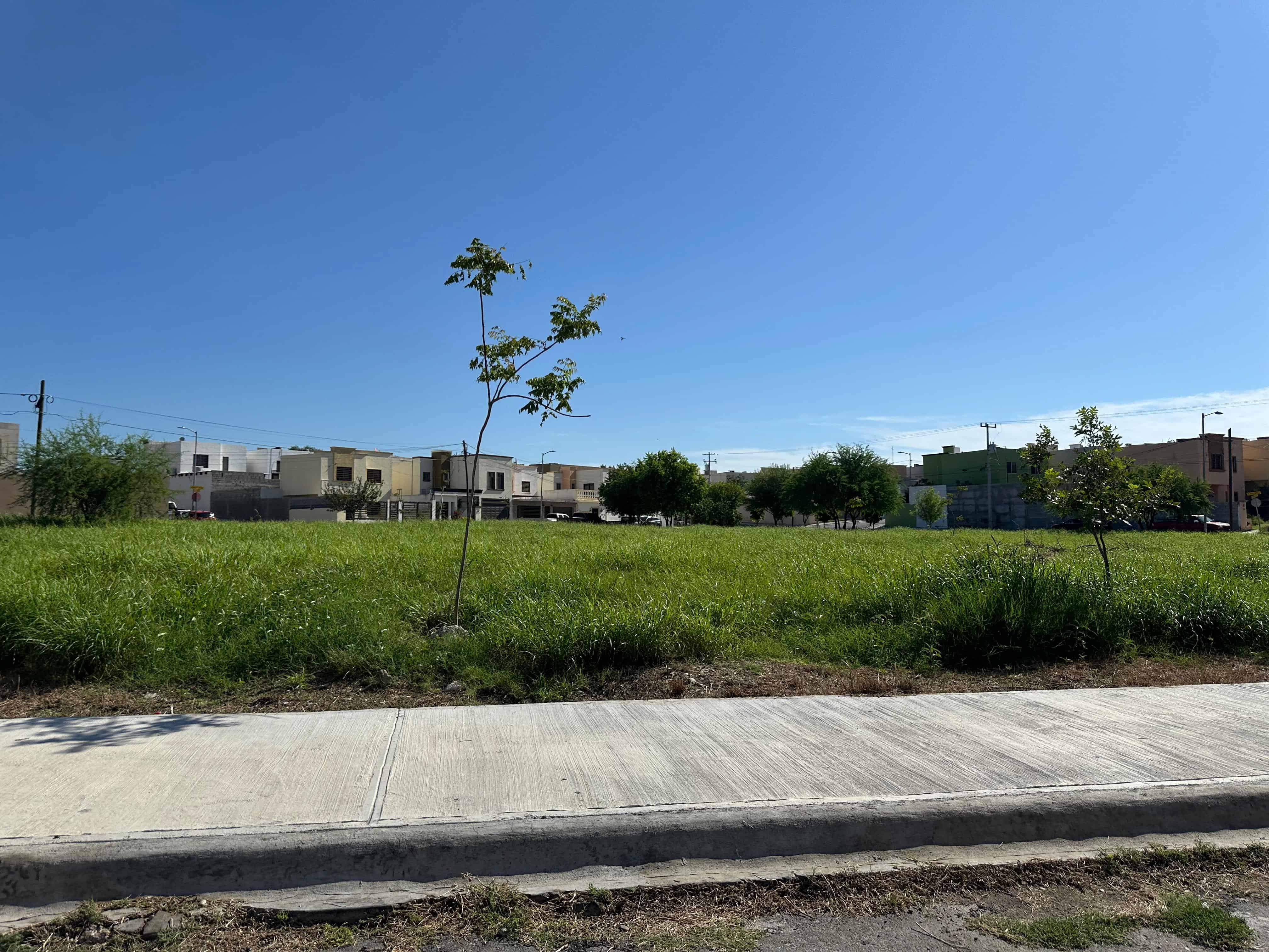 La voz en tu colonia: Vecinos de San Felipe Ampliación reclaman abandono del municipio