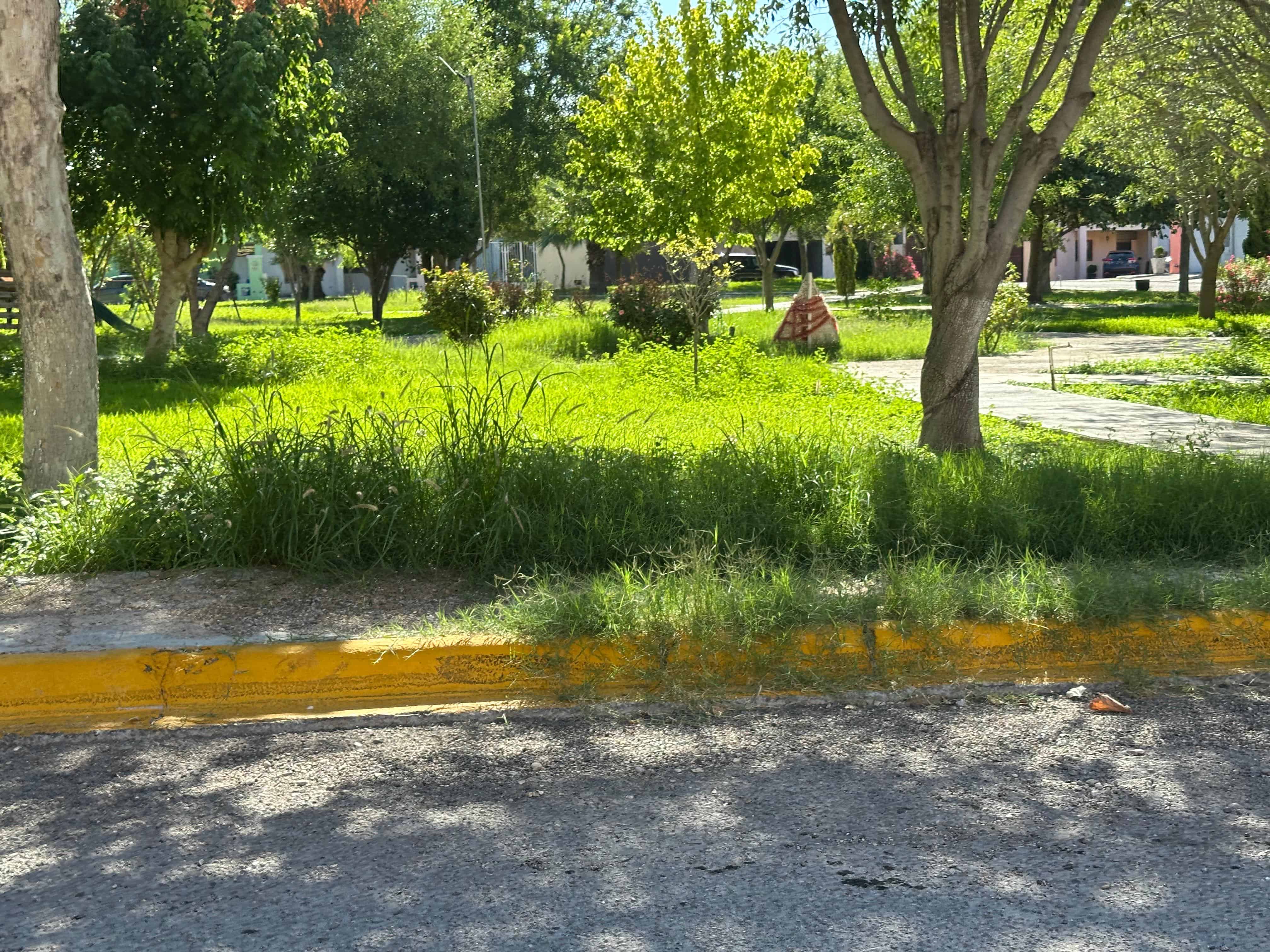 La voz en tu colonia: Vecinos de San Felipe Ampliación reclaman abandono del municipio