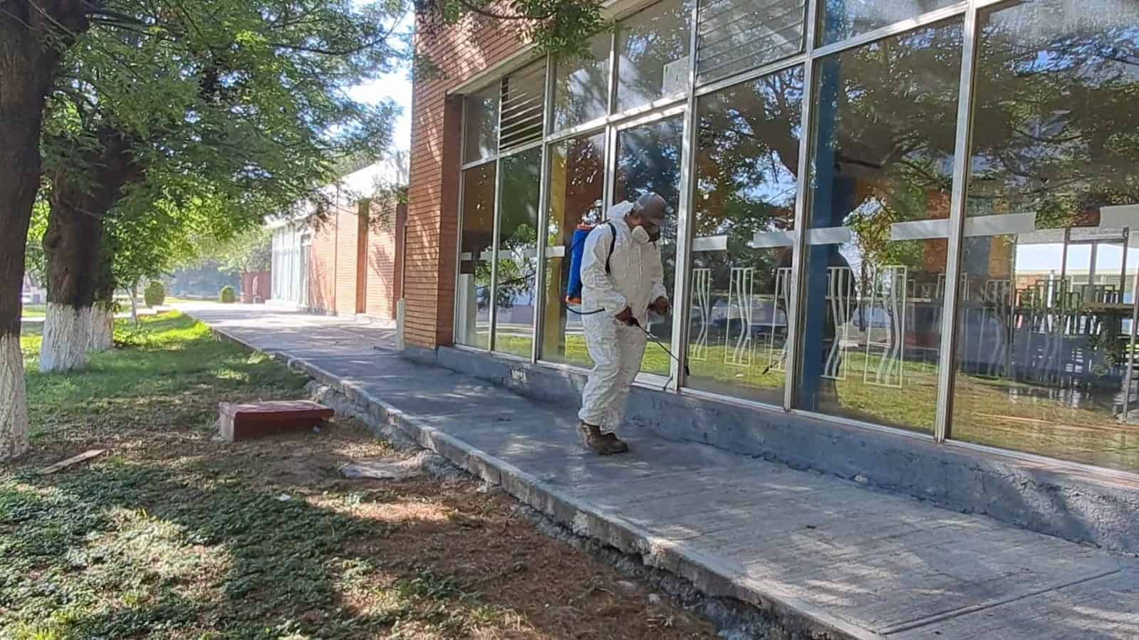 Fumigación intensiva en Saltillo para combatir enfermedades