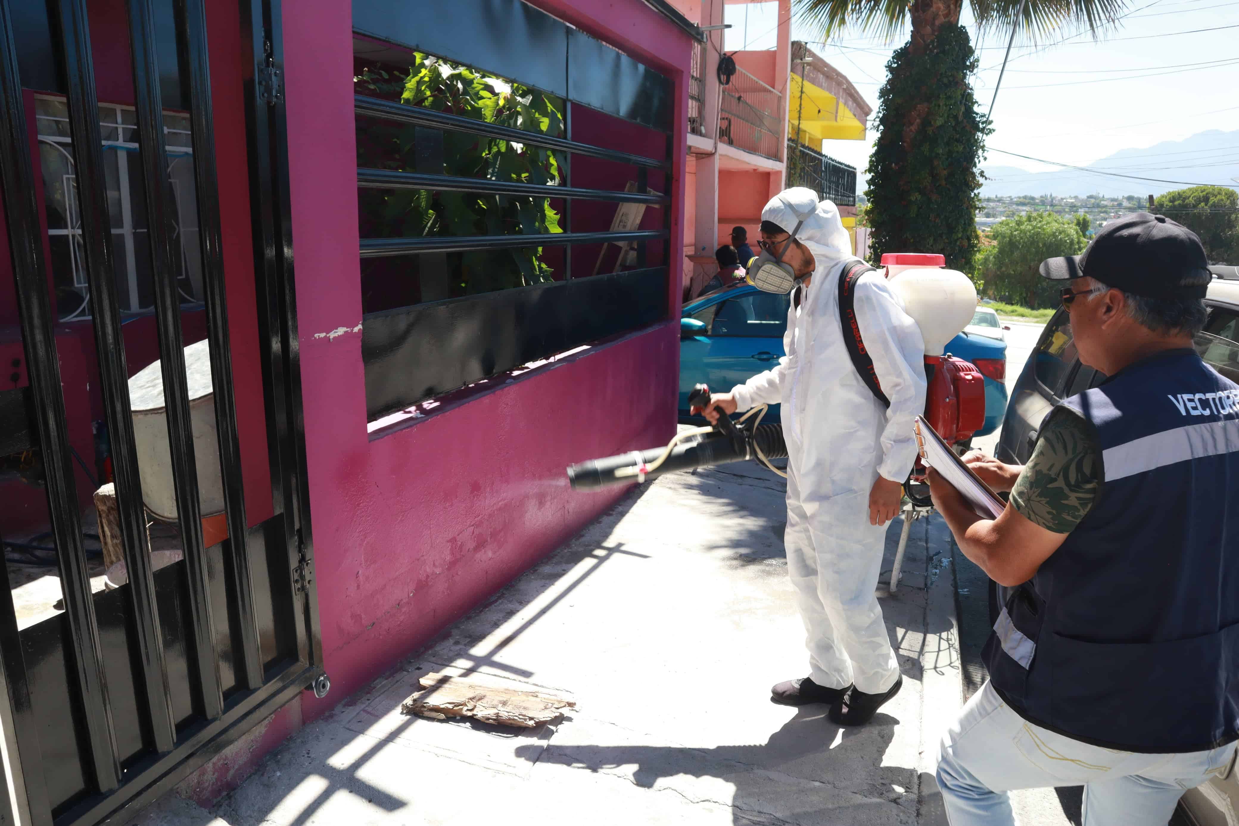 Control Canino y vacunación en lucha contra Rickettsia y Dengue en Saltillo