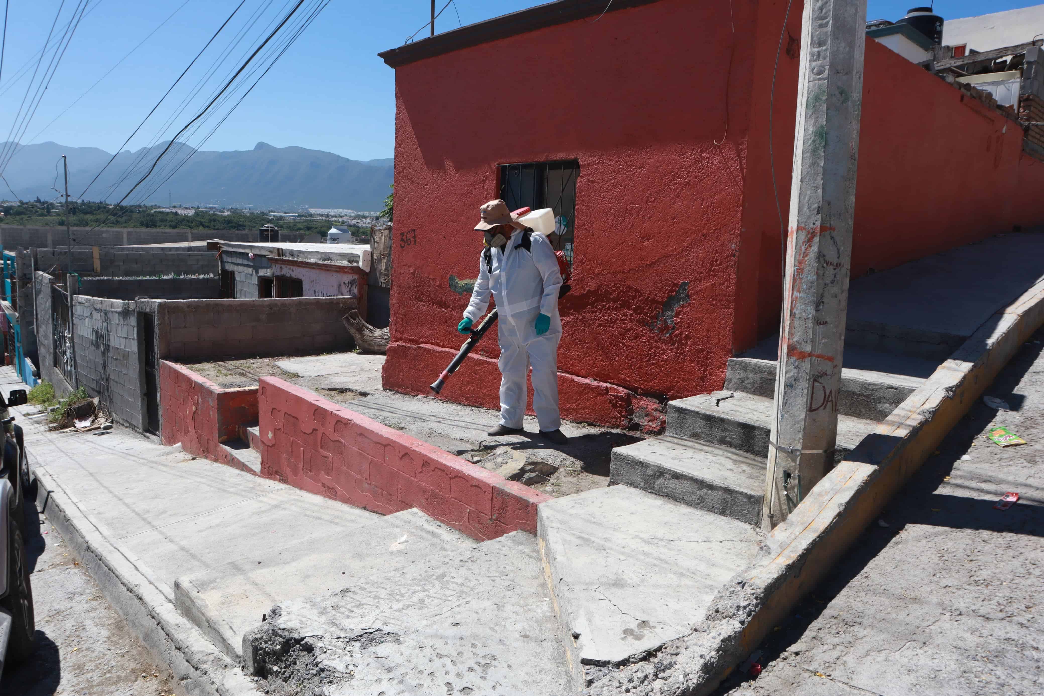Control Canino y vacunación en lucha contra Rickettsia y Dengue en Saltillo