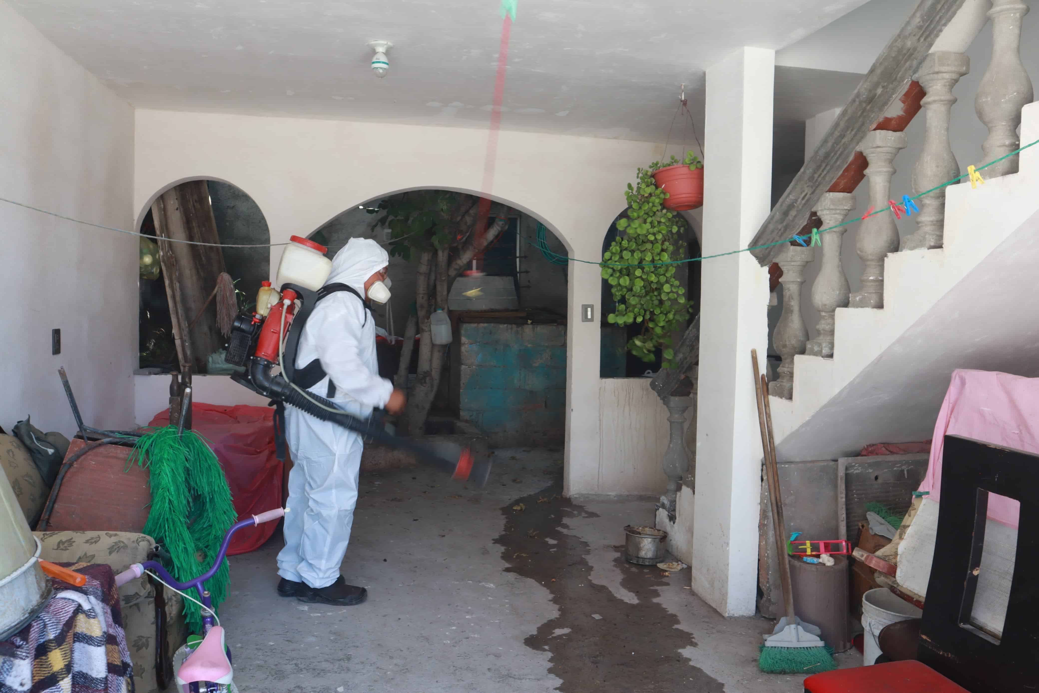 Control Canino y vacunación en lucha contra Rickettsia y Dengue en Saltillo