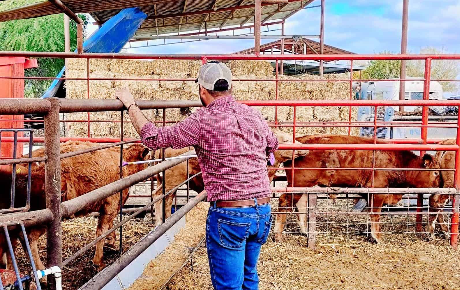 Lujos, rancho y sospechas: ciudadanos de Nava exigen claridad al alcalde