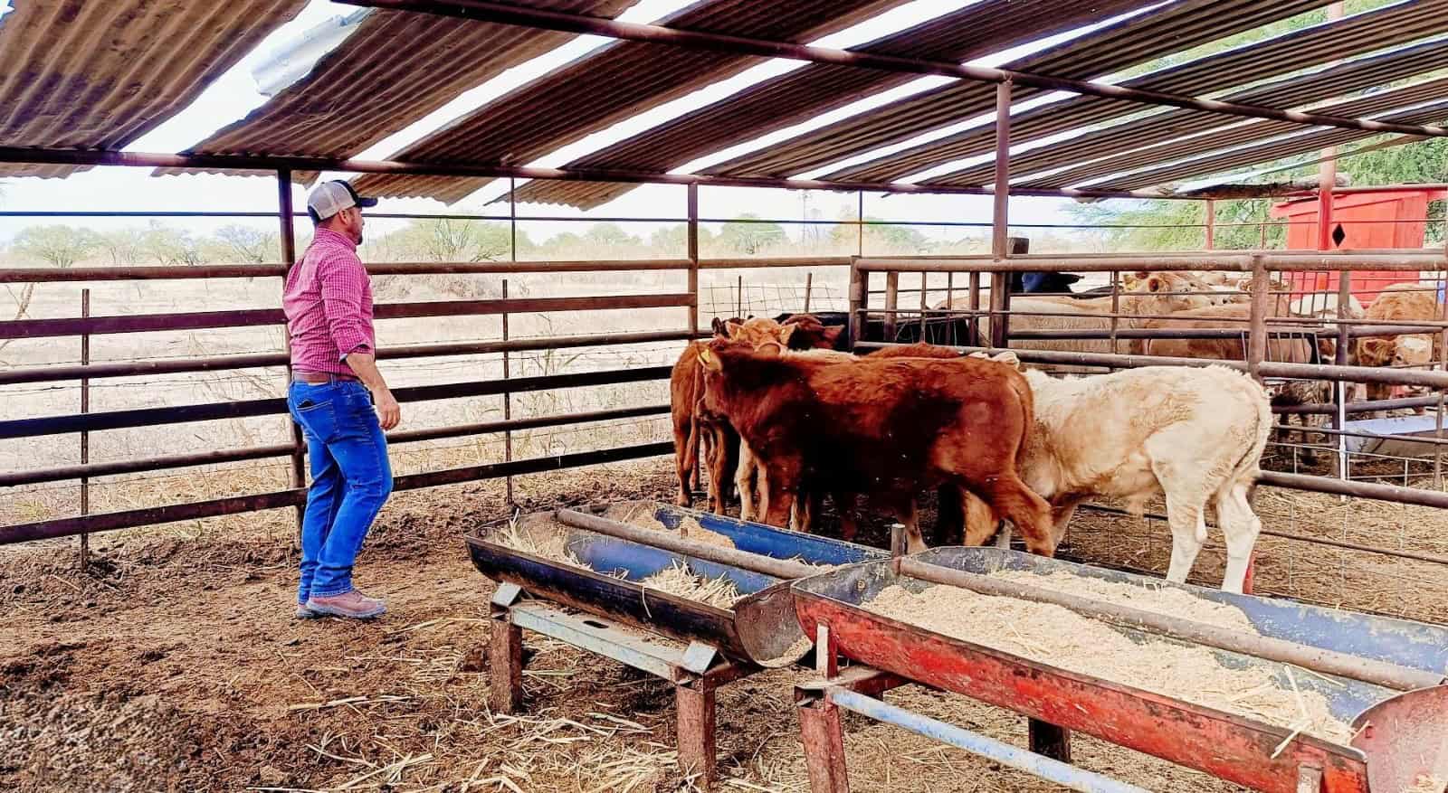 Lujos, rancho y sospechas: ciudadanos de Nava exigen claridad al alcalde