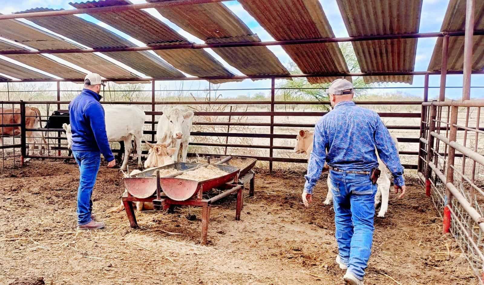 Lujos, rancho y sospechas: ciudadanos de Nava exigen claridad al alcalde
