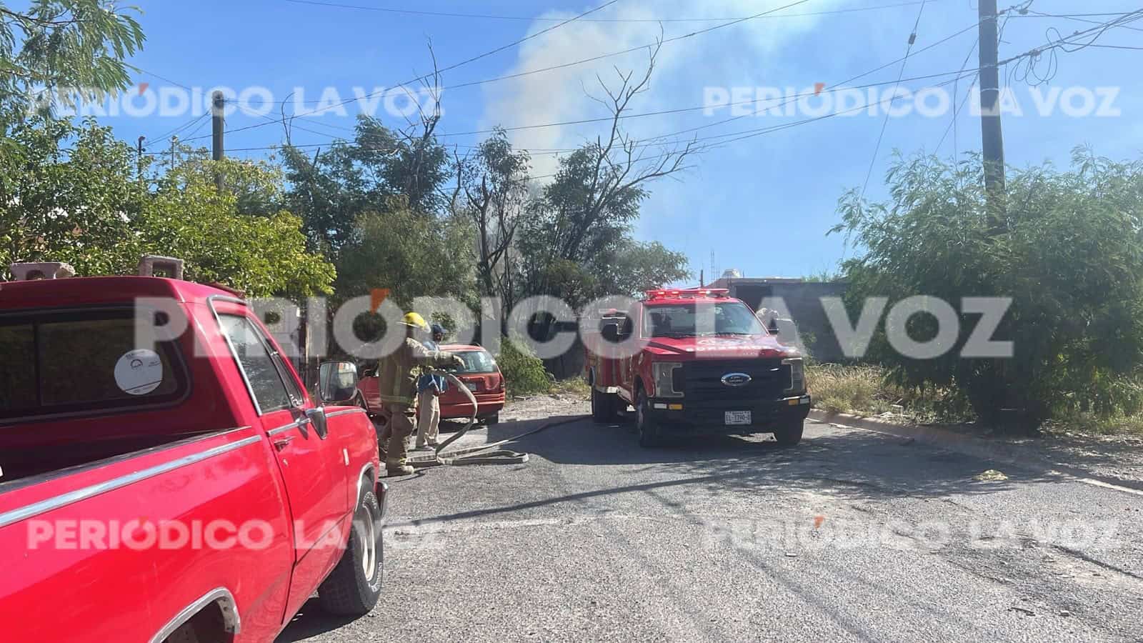 Vecino provoca incendio al intentar desalojar abejas de llanta en Monclova