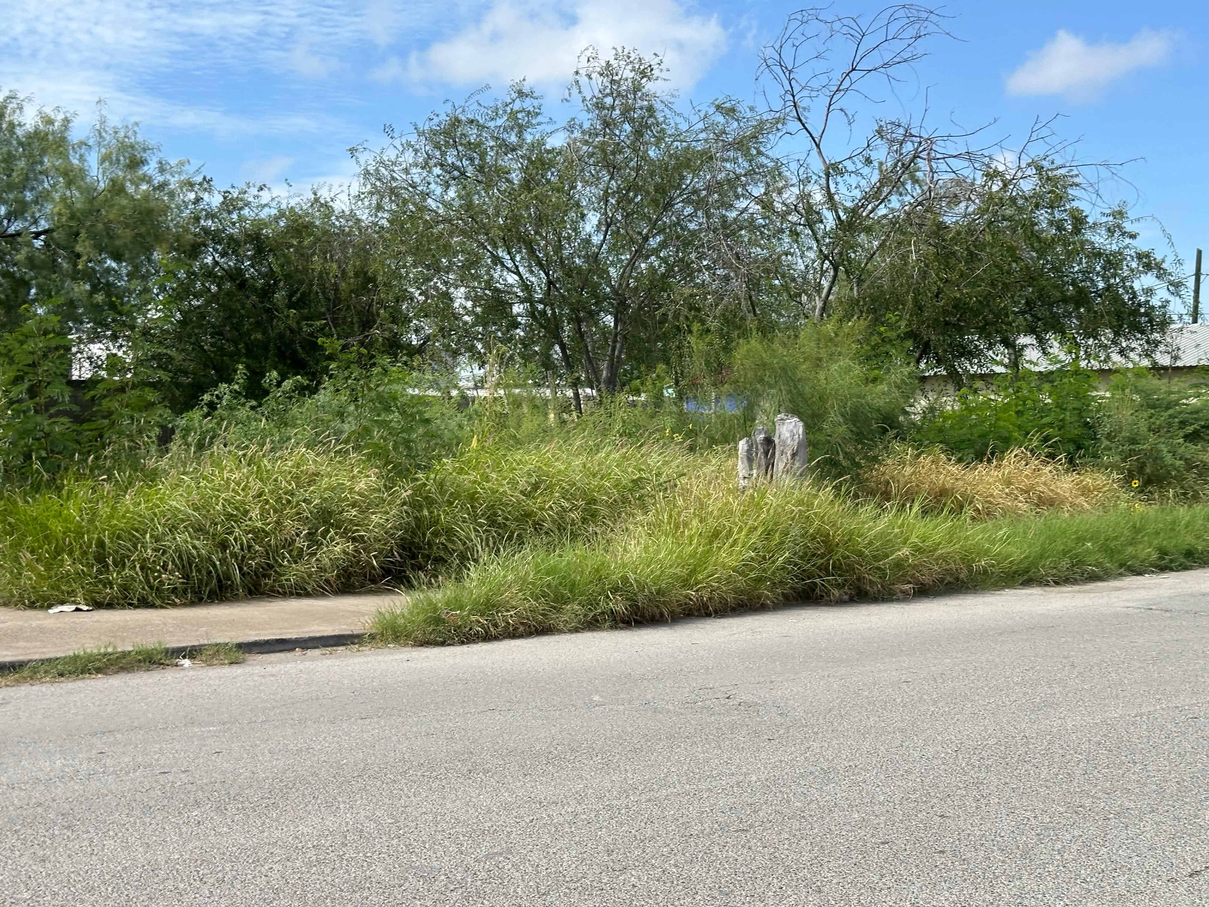 La voz en tu colonia: Se hunde en el abandono colonia San Pedro