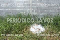Vecina alerta sobre fuerte olor a muerto en Monclova