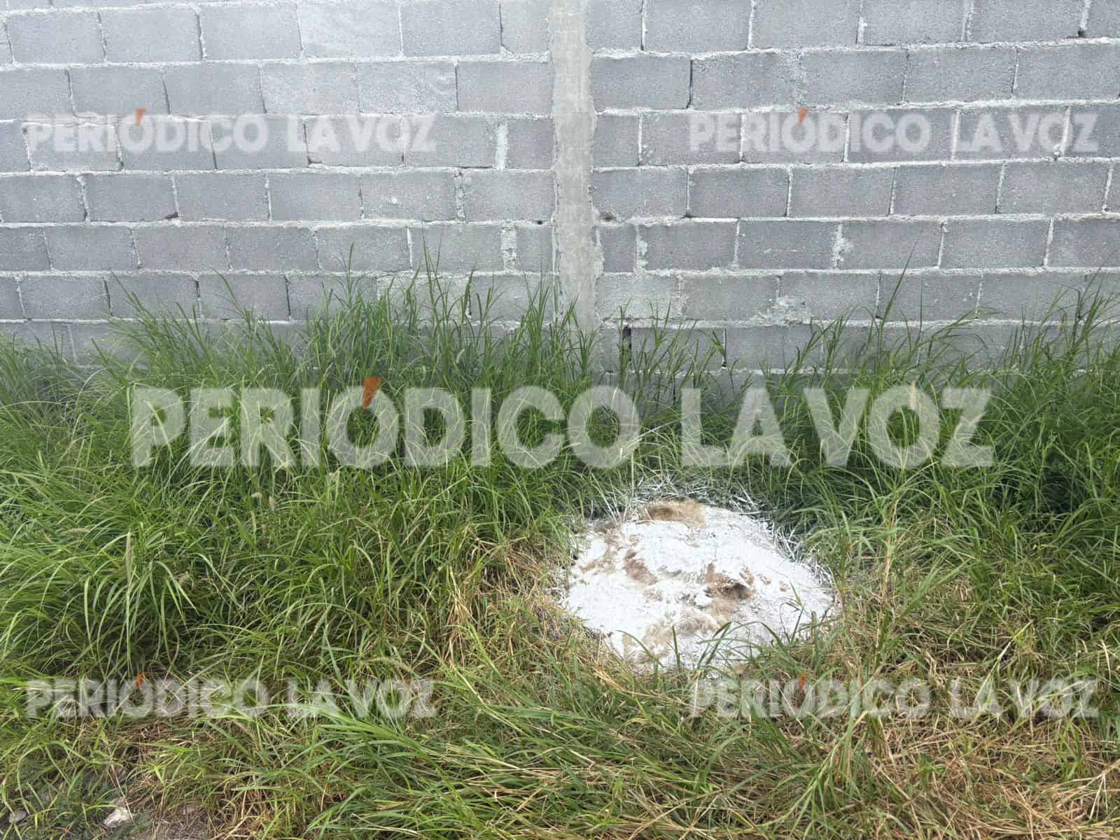 Vecina alerta sobre fuerte olor a muerto en Monclova