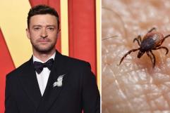 Justin Timberlake revela que padece enfermedad de Lyme: “Me quedé en shock