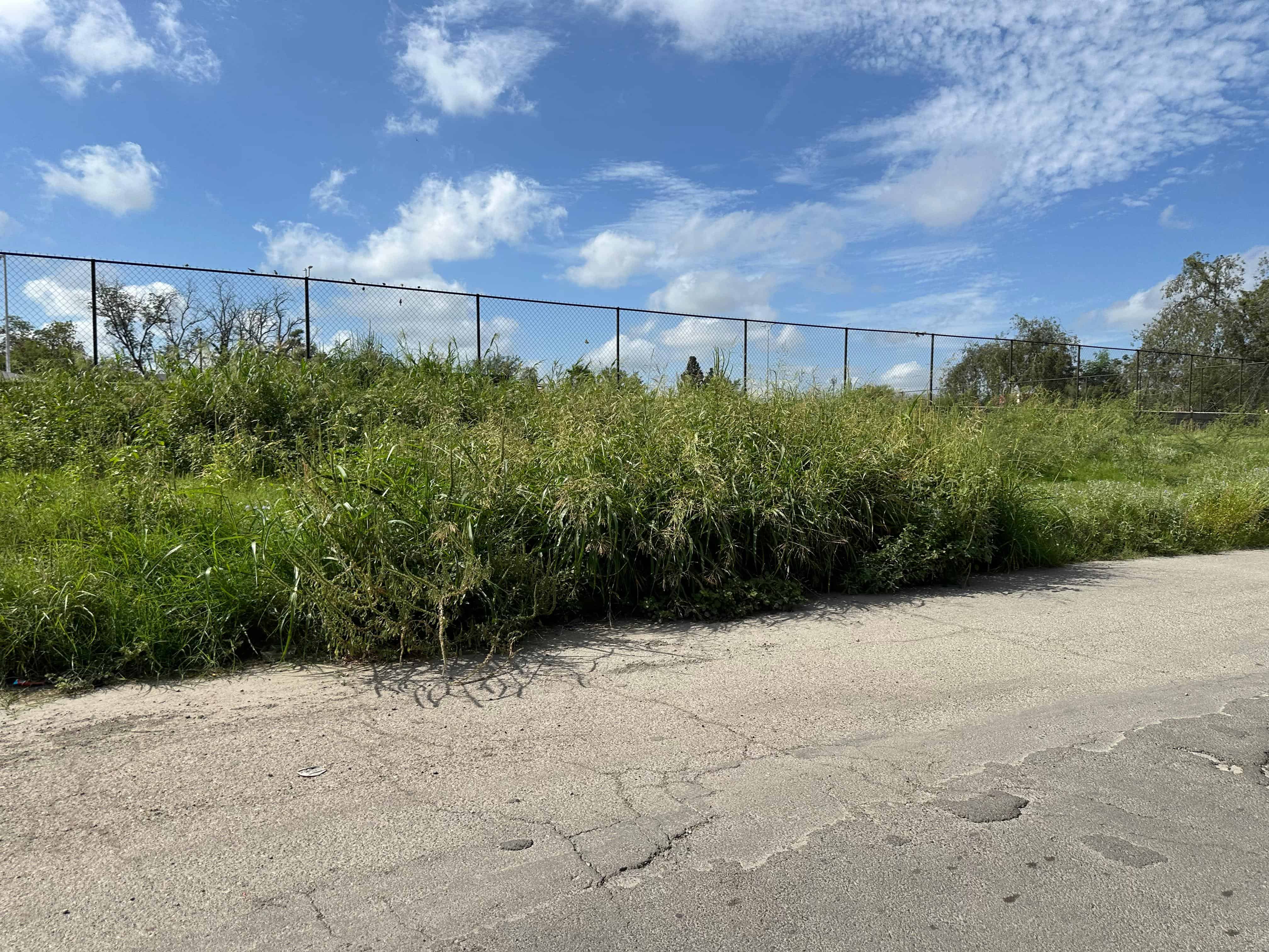 La voz en tu colonia: Vecinos de Los Álamos denuncian abandono total en Piedras Negras