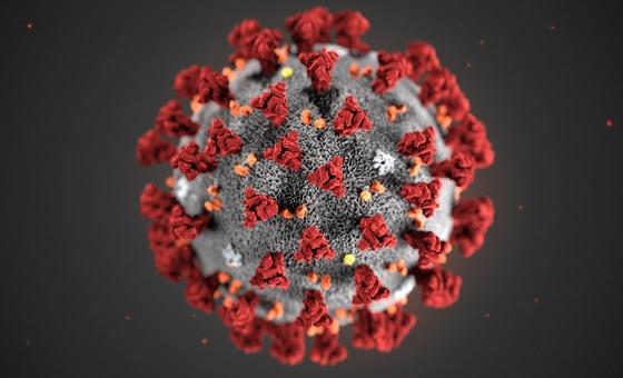 Más de 30 casos confirmados de Vibrio vulnificus en EE. UU.