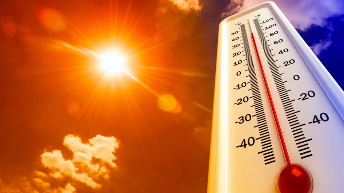 Recomendaciones para Protegerte del Calor Extremo en México