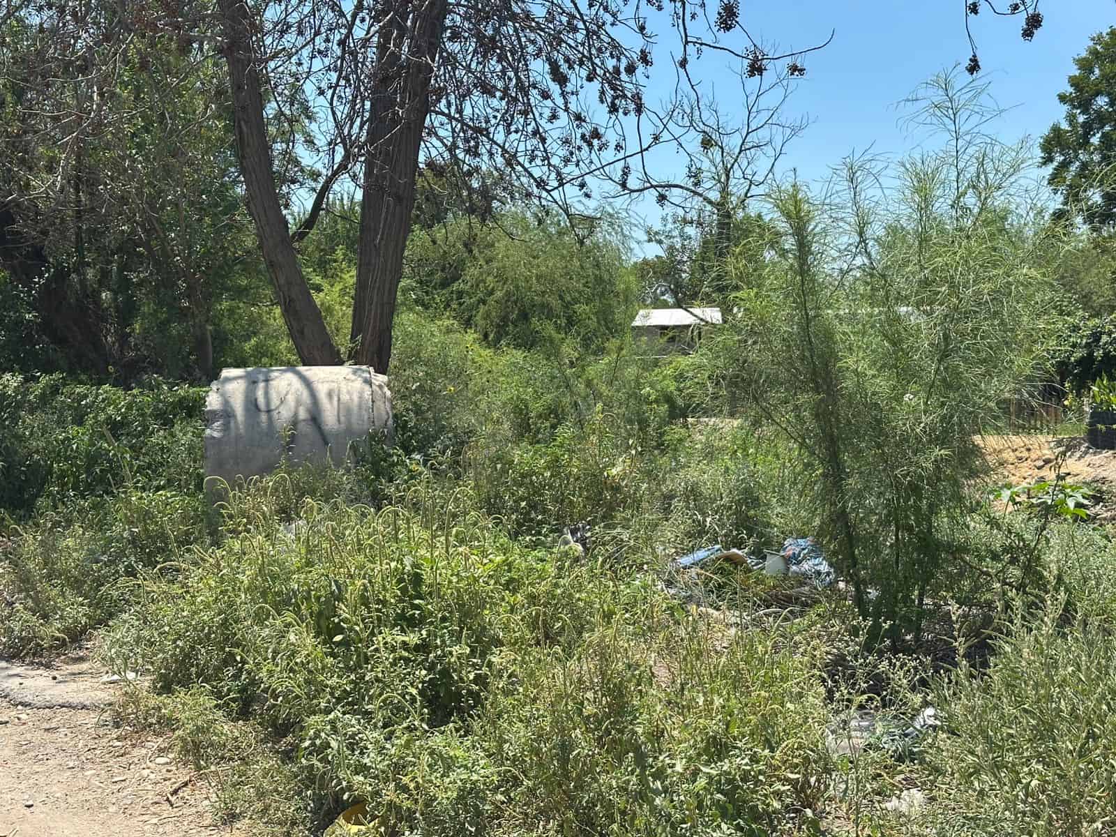 La voz en tu colonia: Viven abandonados en colonia Santa María
