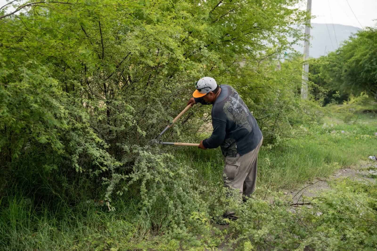 Mercadito de Descacharrización en Castaños para Combatir Dengue